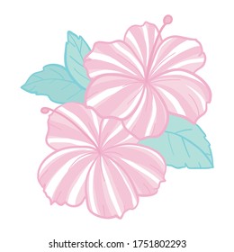 Tropical flowers elements. Collection of hibiscus flowers on a white background. Vector illustration bundle.