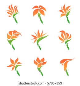 Tropical flowers. Elements for design. Vector illustration.