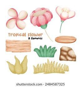 tropical flowers and elements watercolor isolated on white background. Vector illustration.