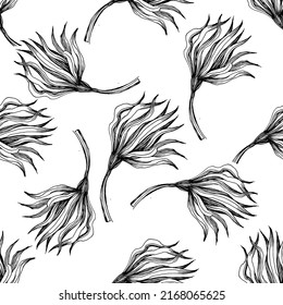 Tropical flowers. Engraved ink art. Seamless pattern on black background. Fabric wallpaper print texture. Vector.