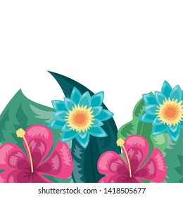 tropical flowers exotic foliage leaves decoration vector illustration