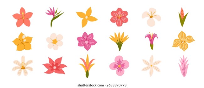 Tropical flowers. Exotic flowers hibiscus, plumeria, bird of paradise, orchid, heliconia. Vector illustration.