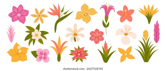 Tropical flowers. Exotic flowers hibiscus, plumeria, bird of paradise, heliconia. Vector illustration.
