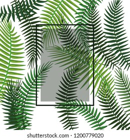 Tropical flowers frame