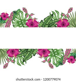 Tropical flowers frame