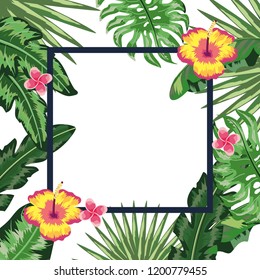 Tropical flowers frame