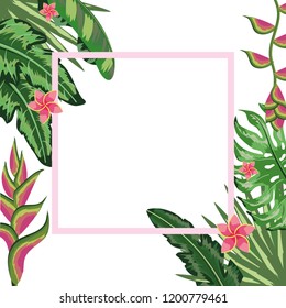 Tropical flowers frame