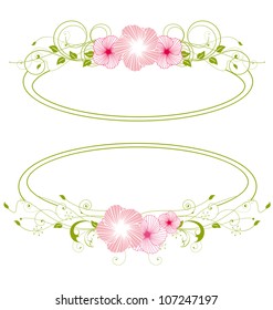 tropical flowers in a green frame
