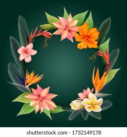 Tropical flowers and green leaves round frame. Circle border with tropical plants - Strelitzia bird of paradise and franipani flower. Card template with floral bouquet frame, wreath.