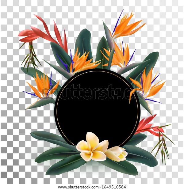 熱帯の花と緑の葉の丸い枠 熱帯植物との境界に円 極楽鳥とフラニパニの花 花柄の花束のフレームとカードテンプレート 花輪 のベクター画像素材 ロイヤリティフリー