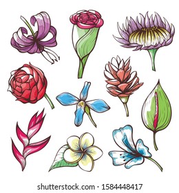 Tropical flowers hand drawn vector illustrations set. Exotic flora blossom sketches pack isolated on white background. Blooming lily, frangipani and spathiphyllum contour drawings collection