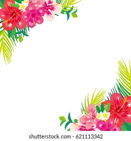 Tropical flowers hibiscus background