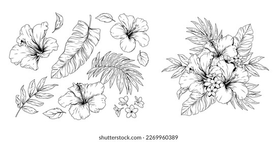 Tropical flowers, hibiscus illustration, floral design, hand drawing.
