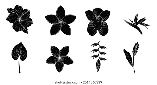 Tropical Flowers Illustration Vector Set Silhouette
