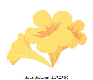 Tropical Flowers Isolated Icon Flat