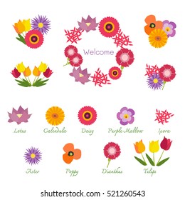 Tropical Flowers Isolated with Names, Showing in Bouquets and a Garland For Decorating  Greeting Cards, Logos, or Signs 