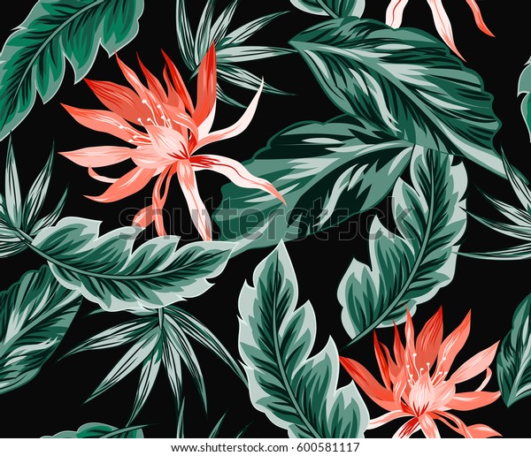 熱帯の花 ジャングルの葉 極楽の花の鳥 美しいシームレスなベクター画像花柄の背景 エキゾチックなプリント のベクター画像素材 ロイヤリティフリー