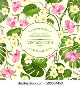 Tropical flowers label for vintage card. Yellow plumeria with text label isolated over white background. Vector illustration.