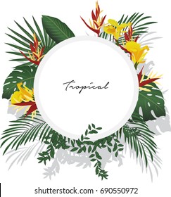 Tropical flowers and leaves 