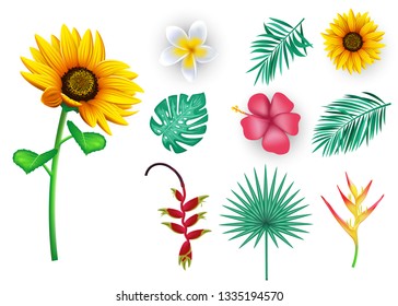 Tropical Flowers and Leaves, 3D Realistic Floral Vector Mesh Elements for Summer Season like Sun Flower, Palm Leaves, and Heliconia in Isolated White Background. Vector Illustration
