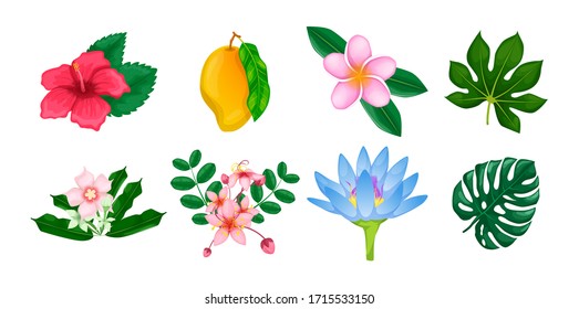 Tropical flowers and leaves collection. Tropical trendy summer palm leaves and jungle, leaf flowers alocasia, dieffenbachia, mango, plumeria vector isolated elements