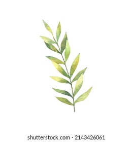 tropical flowers and leaves, cute childish illustration, design and print