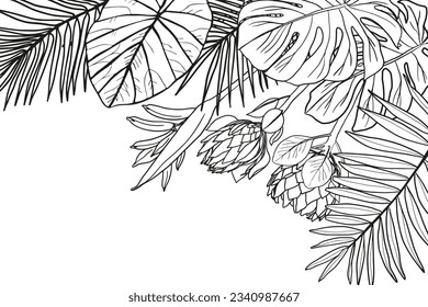Tropical flowers and leaves. Exotic graphic background. patterned frames in trendy graphic design style
