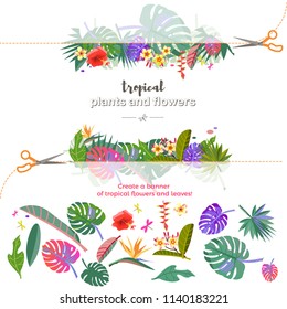Tropical flowers and leaves. Exotic leaf of the monster. Caribbean colors. Design and pattern. Tropical style. Summer holidays by the sea. Fruits and vegetables. Pattern for the frame and pattern