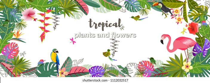 Tropical flowers and leaves. Exotic monster leaf. Caribbean colors. Design and pattern. Tropical style. Summer vacation at the sea. Fruits and Beverages. Frame Template. Flamingo, parrot and colibri