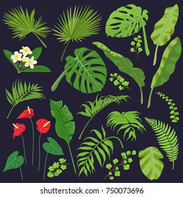 Tropical flowers and leaves isolated on dark background. Tropic plant set.  Vector flat illustration. 