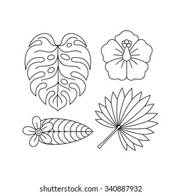 Tropical Flowers And Leaves - Monstera, Hibiscus, Palm. Set Of Icon Design, Holiday Symbols, Vector