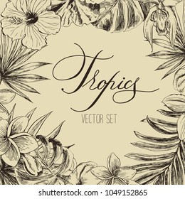 Tropical flowers and leaves on the background. Great set of vector images of tropical plants
Set of hand-drawn tropical plants. For wedding invitations, cards greetings and other