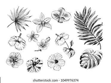 Tropical flowers and leaves on the background. Set of hand-drawn tropical plants. For wedding invitations, cards greetings and other