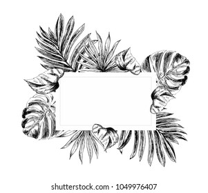 Tropical flowers and leaves on the background. Set of hand-drawn tropical plants. For wedding invitations, cards greetings and other
