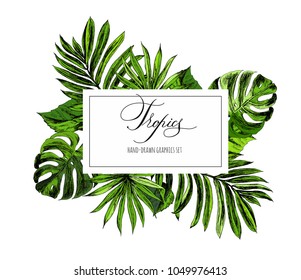 Tropical flowers and leaves on the background. Set of hand-drawn tropical plants. For wedding invitations, cards greetings and other