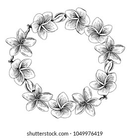 Tropical flowers and leaves on the background. Set of hand-drawn tropical plants. For wedding invitations, cards greetings and other