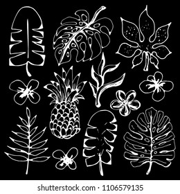 Tropical flowers, leaves, pineapple. Hand drawn isolated on black background set