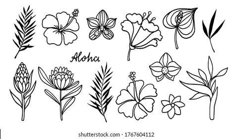 Tropical flowers, leaves, plants, palm branches set. Isolated on white background. Black line, hand drawn