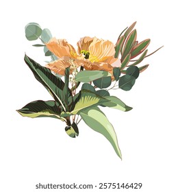 Tropical Flowers and leaves. Poppy, with eucalyptys. Botanical illustration. Vector design element.