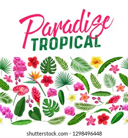 Tropical flowers and leaves seamless border. Exotic paradise template page design with Jungle exotic leaf monstera, areca palm, royal fern and plumeria. Strelitzia, hibiscus, orchid and ginger flower