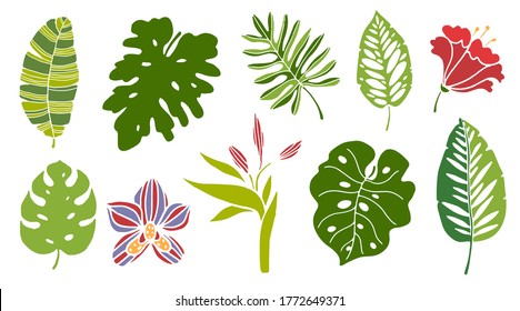 Tropical flowers, leaves set. Isolated on white background. Hand drawn