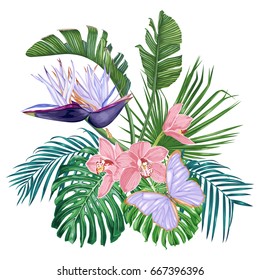 Tropical flowers and leaves. Strelitzia Nicolai, orchids and a large purple butterfly. Exotic bouquet. Vector illustration.