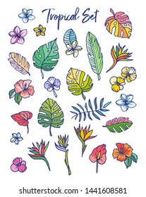 Tropical Flowers and Leaves. Tropic plants: monstera, orchid, bird of paradise, anthurium, philodendron, hibiscus, frangipani. Vector illustration. Isolate