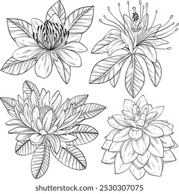 Tropical flowers and leaves. Vector exotic set, floral elements isolated, Hawaiian plants for greeting card, wedding, wallpaper. Black and white