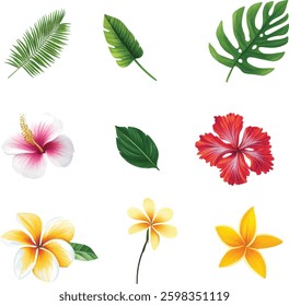 Tropical Flowers and Leaves Vector Set on White Background.