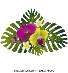 Tropical flowers. Orchids.  Floral background. Border. Plumeria. Palm leaves. Exotic plants. Color. Bright. Isolated.