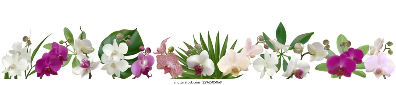 Tropical flowers. Orchids. Set. Phalaenopsis. Bud. Petals. Border. Beautiful floral background. Palm leaves. Monstera.