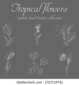 Tropical flowers. Outline hand drawn bundle. Outline vector collection for decorative design. Doodle line graphic design. Hand drawn vector set. Exotic flowers. Freehand illustration set