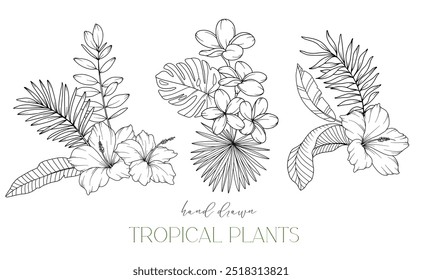 Tropical Flowers Outline. Plantas Tropicais De Arte Em Linha. Floral Line Art. Página de coloração de flores. Ilustração de Verde Tropical de Linha Fina. Flores desenhadas à mão. Flores de convite Tropical Wedding