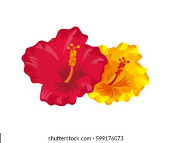 tropical flowers over white background. colorful design. vector illustration